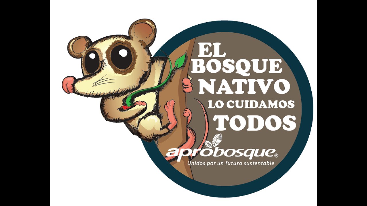 Webinar Aprobosque 2020. ¿En qué está el Bosque Nativo en el Sur de Chile?