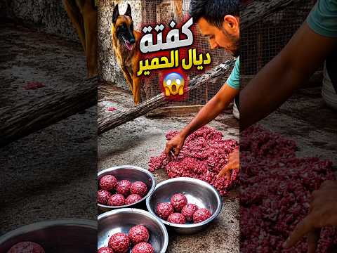 سمع اش قاليا واحد 😱😂