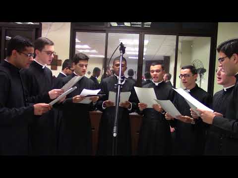 Toma Minha Vida - Maria Mater Ecclesiae