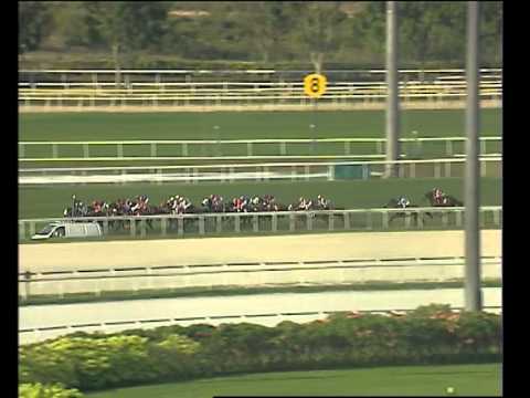 Emirates Singapore Derby 2006 (Our Falstaff)