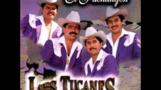 los tucanes de tijuana cosas del destino.wmv