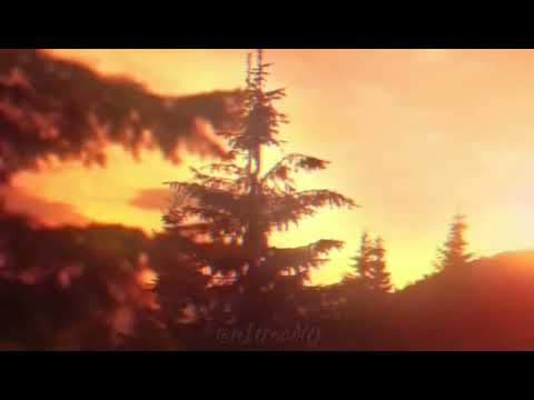 Dvrst, monrxe — Darling edit