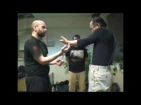 Wan Kam Leung Practical Wing chun (France) - Sifu Lee Teck Meng - body mechanics