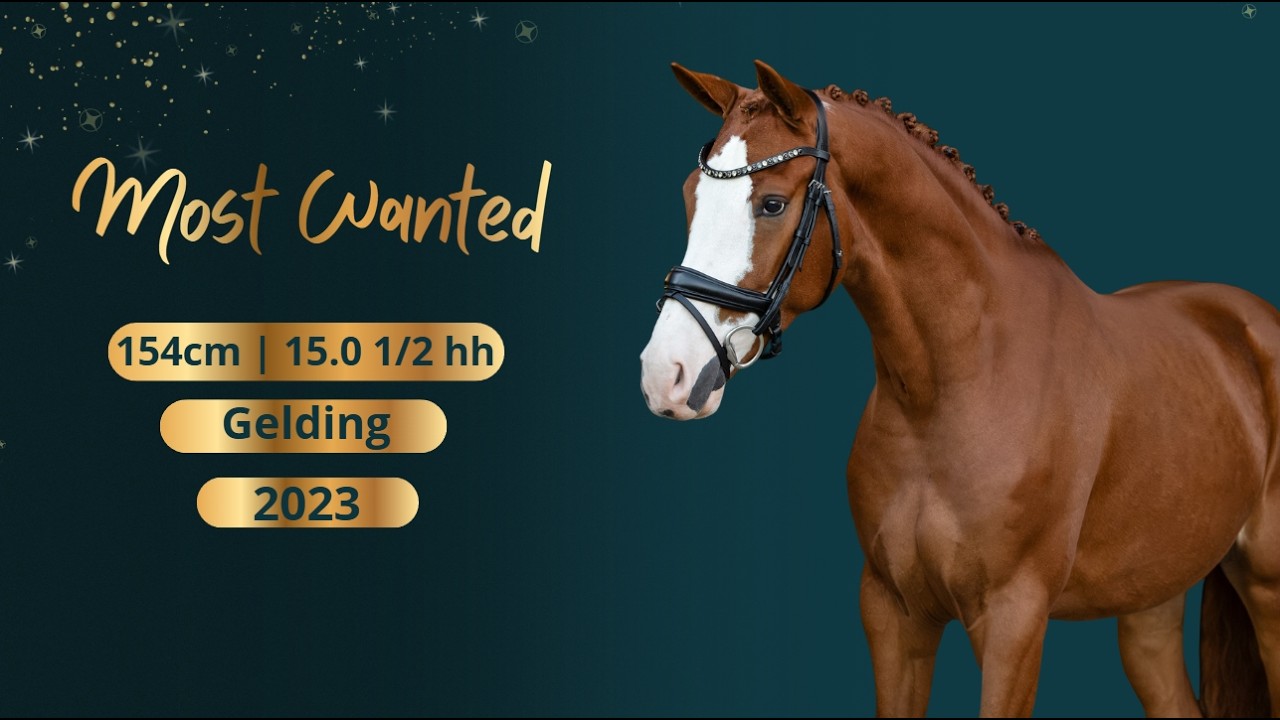 Most Wanted video 1