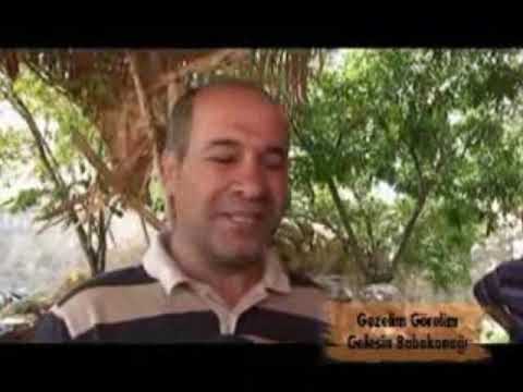 Gelesinli işadamlarımız ve köylülerimiz ile röportaj