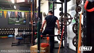 Front Squats w Bands and Chains