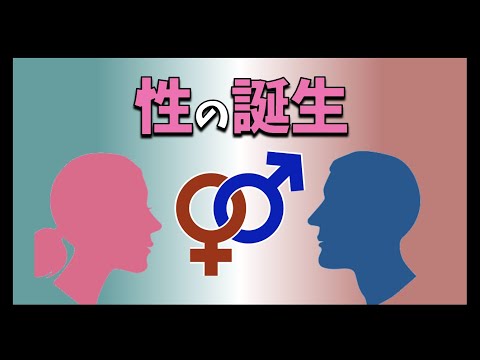 動物界における生殖 - 定義