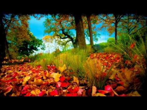 Onita Halunga - Dincolo de cer