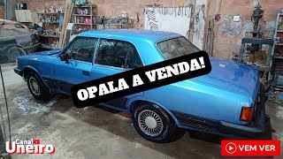 OPALA A VENDA! 