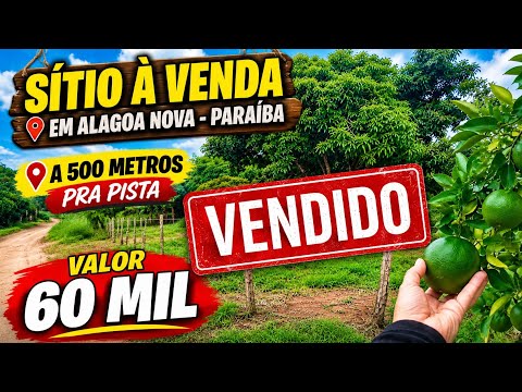 Mais um Sitio que está á venda em Alagoa Nova Pb, no sitio Honorato