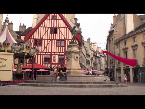 Présentation 1 : L'environnement