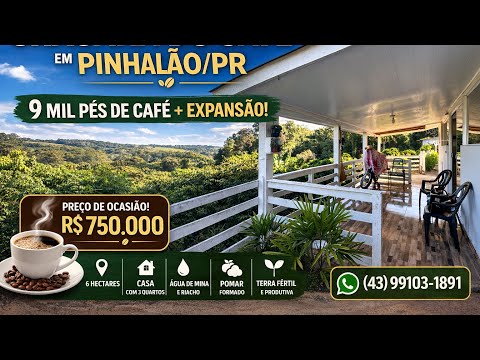 Chácara do Café em Pinhalão Casa Linda 03 Quartos Água de Mina R$750Mil