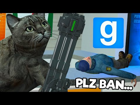 I 100% Should Have Been Banned!!! - Gmod Dark RP Cat Trolling