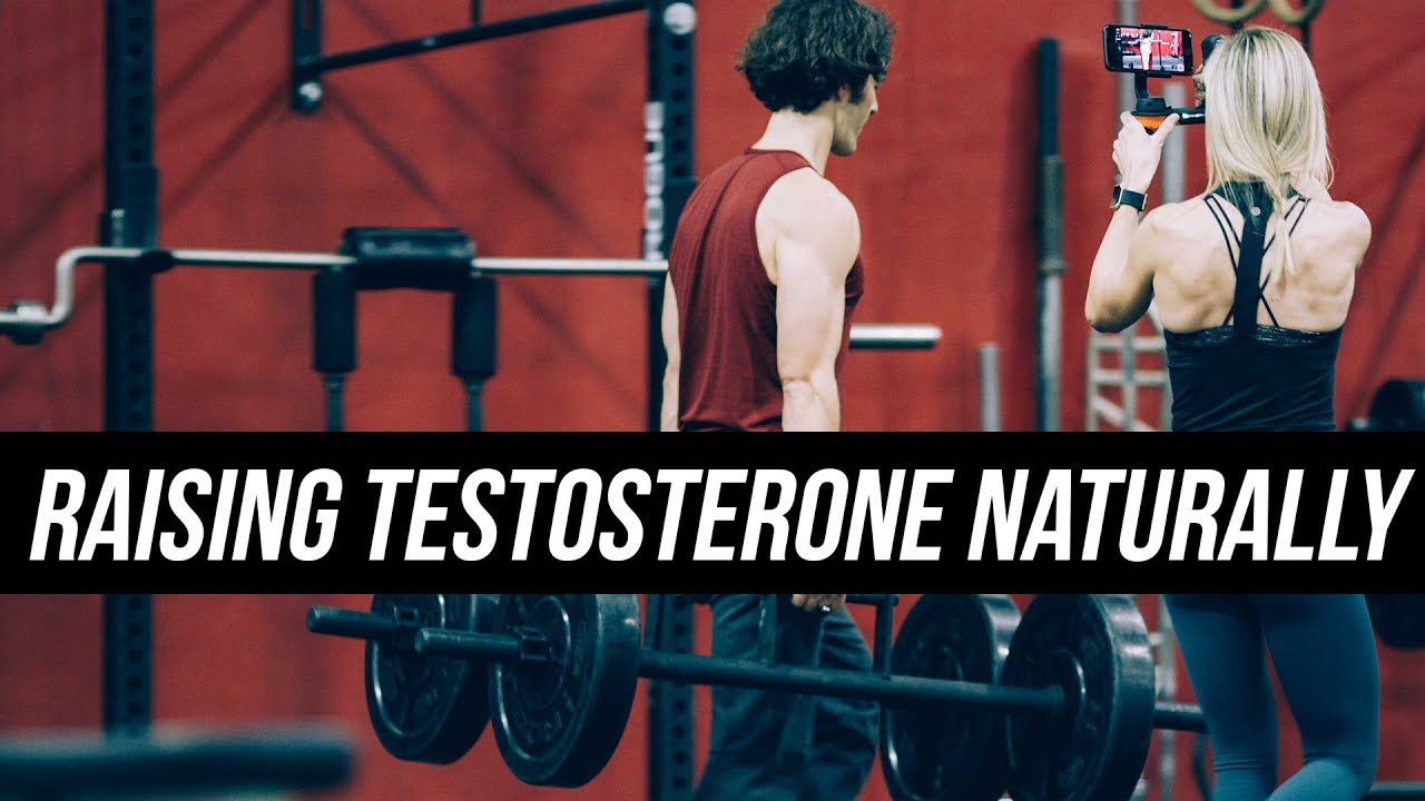 Raising Testosterone Naturally: Herbs, Light & Post-Steroid Therapy - YouTube