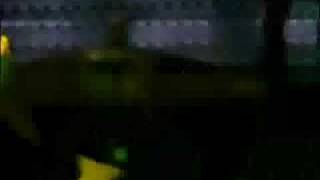 REM at Rock Werchter 2008 - Horse To Water (Pro-shot)