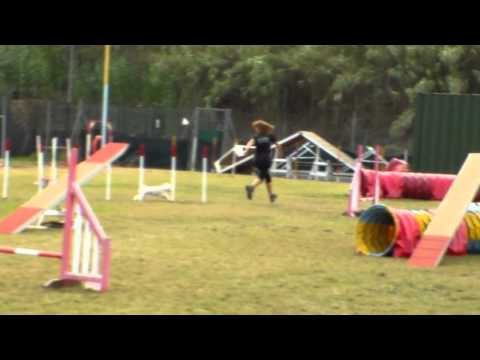 Anna Mel Agility G2 E