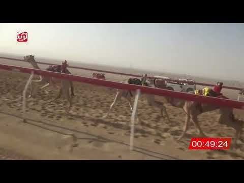 ش 27 (الواريه) لـ احمد عمر 2:08 ، شارة الصندوق 2026/05/30 فطامين الروضة