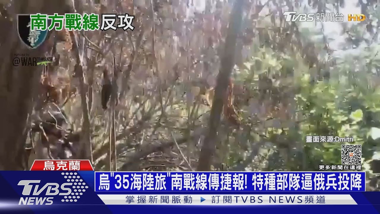 烏「35海陸旅」南戰線傳捷報! 特種部隊逼俄兵投降