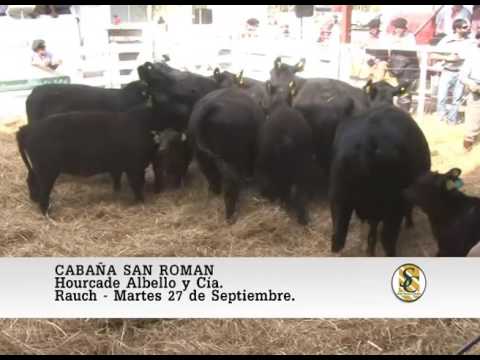 27-09-16 Venta de Vientres - Cabaña San Roman de Zar - Rauch