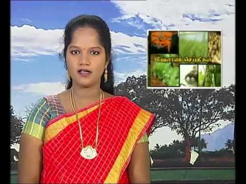 Pon Vilaiyum Bhoomi  31/12/2015