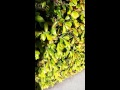 Economics In Real Life ( Creative Project Macro ...