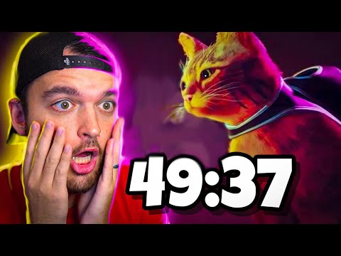 WORLD RECORD “STRAY” SPEEDRUN IS AMAZING!