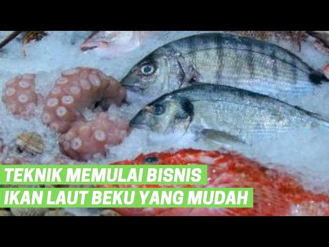 , title : '5 Teknik Memulai Bisnis Ikan Laut Beku Yang Mudah'