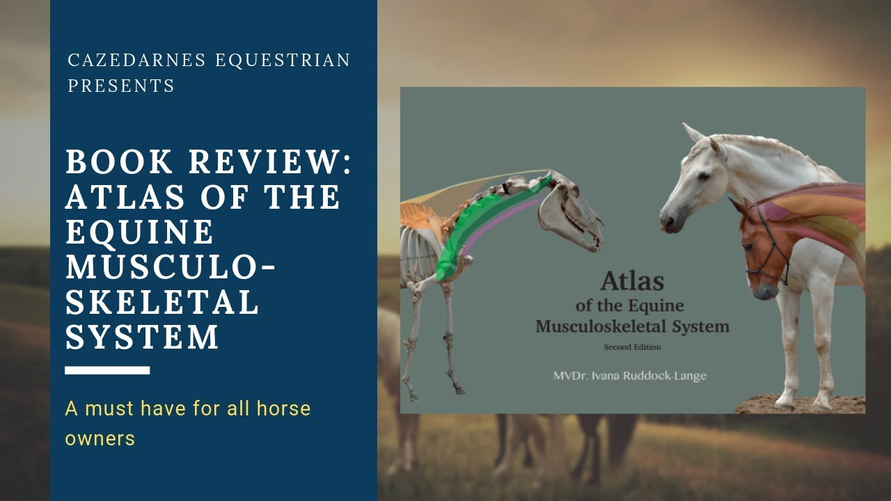 Atlas of The Equine Musculoskeletal System