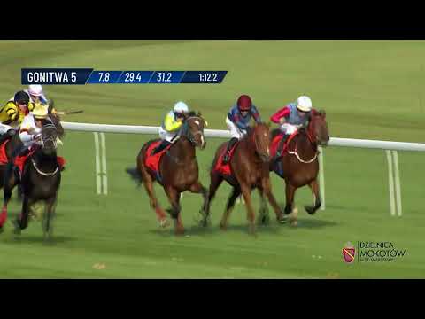 Dzień 42 - (03.11.2024) Tor Służewiec