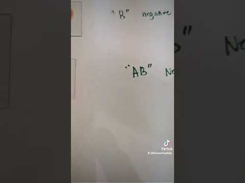 Rh Negative blood type