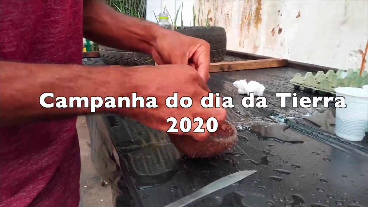 Dia Internacional da Terra