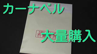 #遊戯王コレクション 【カーナベル】集めてる3期カードを大量購入!