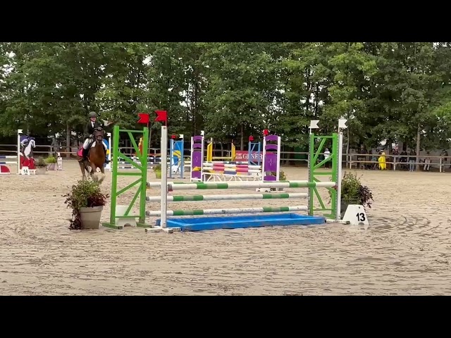 Poney de sport ou de loisirs D 11 ans