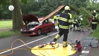 preview picture of video 'Oog op De Bilt - Grote tak valt op rijdende auto Bilthoven'