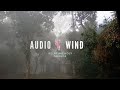 Winter Morning Ambience Sound Effect Copyright Free Nature Sounds