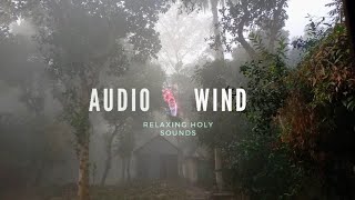 Download lagu Winter Morning Ambience Sound Effect | Copyright Free Nature Sounds mp3 Download lagu Winter Morning Ambience Sound Effect | Copyright Free Nature Sounds mp3