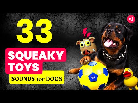 33 Dog Toy SQUEAKY Toy Sounds That Dogs Love To Hear🐶
