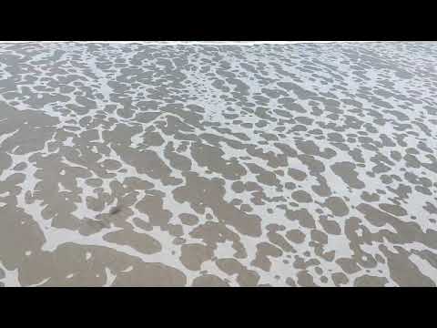 WHEN THEY ARE BACK BUSY WORKING AT OFFICE BUT YOUR STILL ON #VACATION🥰🤪 #BEACH❤️