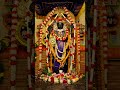 Sri Varadaraja Perumal Temple Kanchipuram Venkateswaraswamy Kanchipuram Perumal