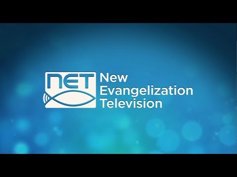 NET  TV  Promo Reel & Highlights (2018)