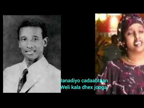 Janadiyo cadaabtaan weli kala dhex jooga: ereyadii iyo laxankii cabditahliil iyo Hodon cali.