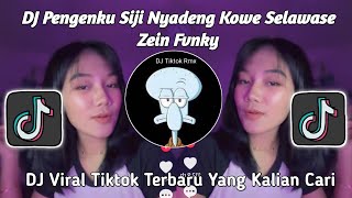 Download lagu DJ PENGENKU SIJI NYANDENG KOWE SELAWASAE ZEIN FVNKY | AKU TENANG MUNG KOWE SING PURUN NOMPO VIRAL mp3