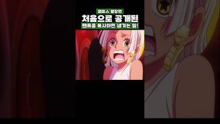 원피스) 처음으로 공개된 핸콕을 복사하면 생기는 일! #onepiece #원피스