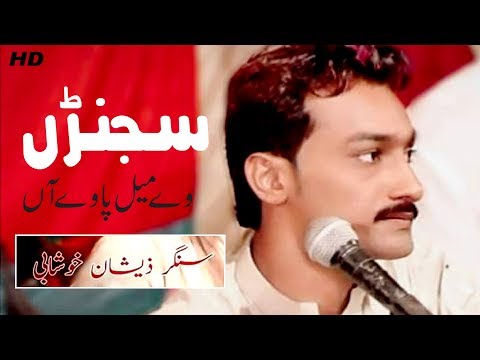 Adi Wadi Gal Koi Nahi | Zeshan Haider Khushabi | Pandi Studio