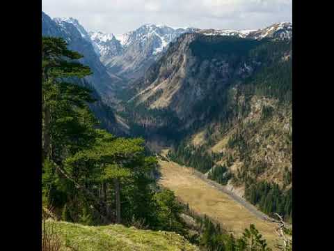 Milivoj Đurišić Još me jedna gara kune