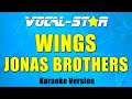 Jonas Brothers Wings Karaoke Version