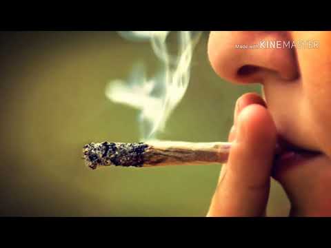 Hijos De Leyva - Humo Tranquilizante (LETRA) (CORRIDOS420)