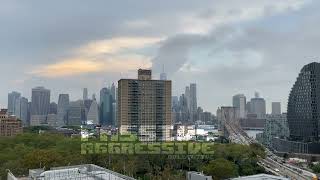 Pop Drop &amp; Roll - Chonique Sneed / Lisette Bustamante