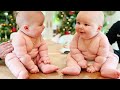 Cute And Chubby Babies Funny And Laughing Videos For Whatsapp Status Top Cutest Baby On The Planet