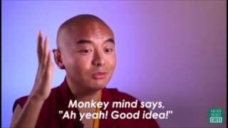 Buddhist Monk shares his Secrets of Meditation